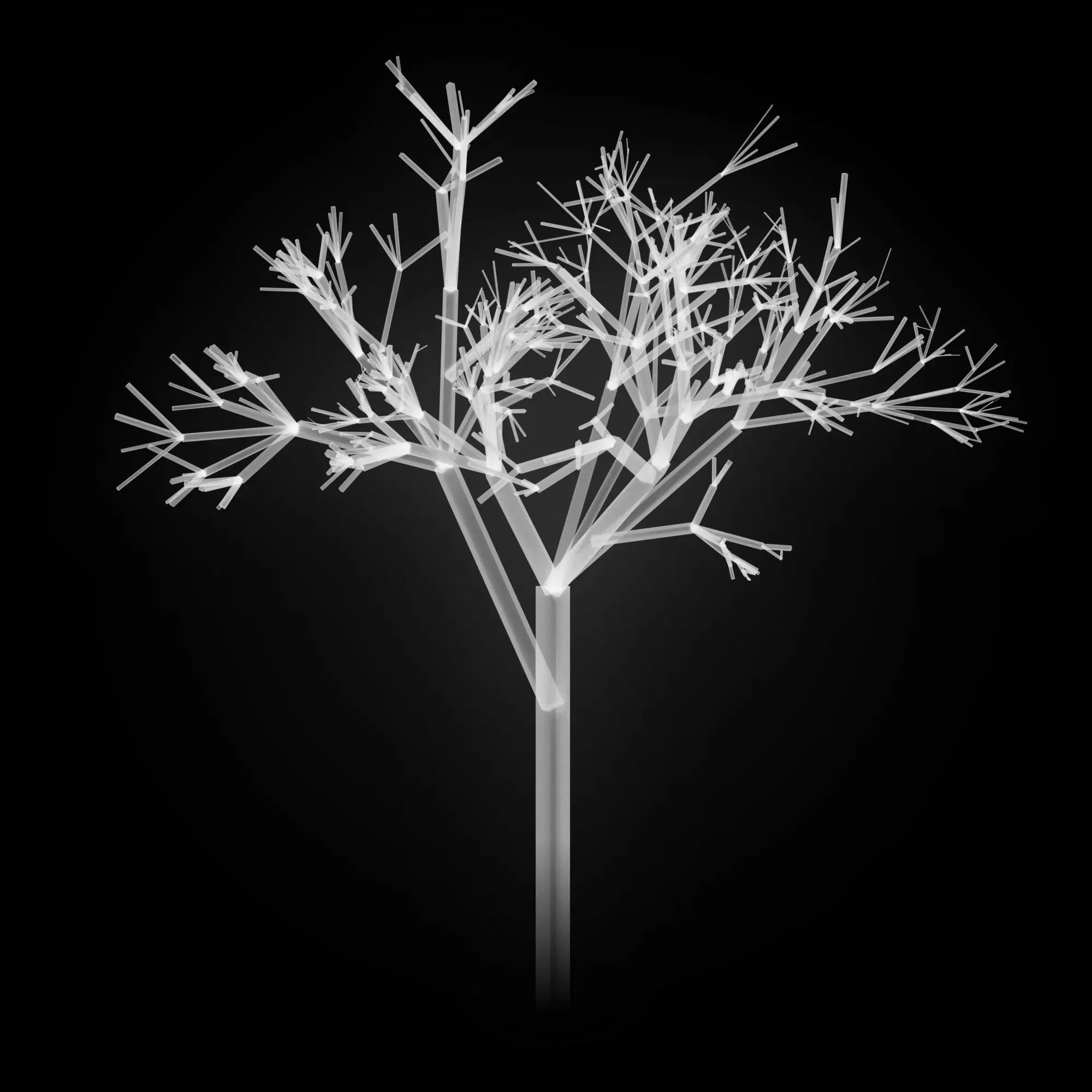 Unnamed Tree Image